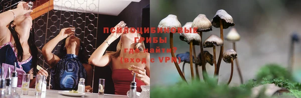 кокс Алексеевка