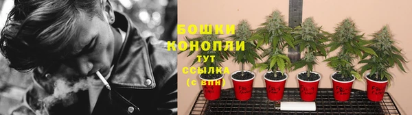 ГАЛЛЮЦИНОГЕННЫЕ ГРИБЫ Новодвинск