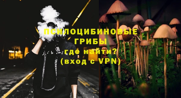 прущий лед Алексин
