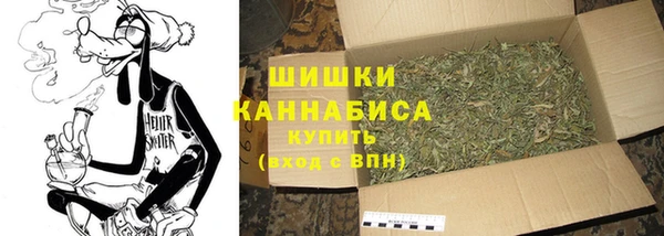 PSILOCYBIN Новозыбков