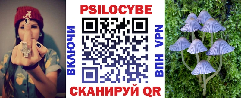 Псилоцибиновые грибы мицелий Пустошка